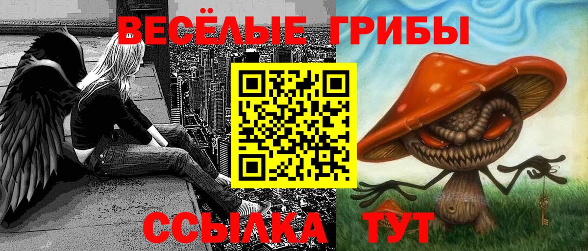 магазин продажи   Вход с VPN  Саратов  Псилоцибиновые грибы прущие грибы 